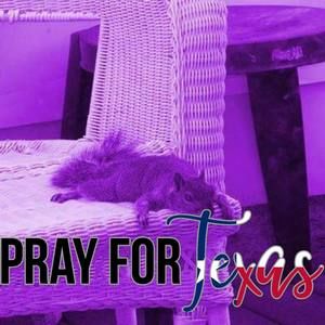 Meet your Posher, Dee